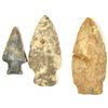 Image 2 : 12 INDIAN HEAD ARROWS