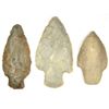 Image 3 : 12 INDIAN HEAD ARROWS