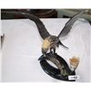 Image 1 : HAND CARVED EAGLE STATUE, MADE FROM COW BONES