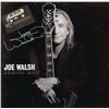 Image 1 : Joe Walsh