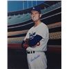 Image 1 : Don Drysdale
