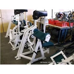 BODY MASTERS CX410 ARM CURL