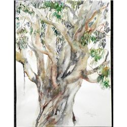 Betty Snyder Rees Original Painting Eucalyptus Tree