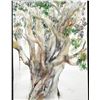 Image 1 : Betty Snyder Rees Original Painting Eucalyptus Tree