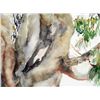 Image 2 : Betty Snyder Rees Original Painting Eucalyptus Tree
