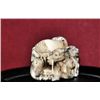 Image 4 : Ivory netsuke of a 12 horoscope animals signed.