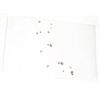 Image 1 : .60 CARAT DIAMONDS 17 TOTAL ROUND BRILLIANT CUT & FACETED *BEAUTIFUL NICE PRECIOUS DIAMONDS*!!
