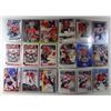 Image 2 : 81 Martin Brodeur Cards.