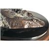 Image 2 : Leopard Bronze "Silence in Motion" by Burl Jones with Certificate of Authenticity