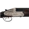 Image 4 : Elaborately Engraved AYA No. 37 Super Over/Under Side Lock Shotgun