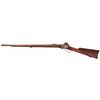 Image 2 : Rare Civil War Berdan Sharpshooter Sharps New Model 1859 Breech-Loading Rifle