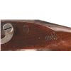 Image 2 : Fine U.S. Pomeroy Contract 1840/42 Dated Percussion Conversion Musket with Long Range Sight