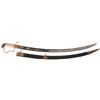 Image 1 : 19th Century Eagle Head Pommel American Officer's Sword with Scabbard