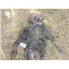 Image 2 : INBRED WEREWOLF CREATURE COMPLETE WEARABLE FULL BODY SUIT HEAD HANDS & FEET
