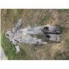 Image 1 : BIG FOOT YETI ABOMINABLE SNOWMAN SASQUACH CREATURE COMPLETE COSTUME
