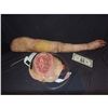 Image 2 : SIX FEET UNDER TRUE BLOOD HERO SILICONE SEVERED ARM WITH WEARABLE STUMP SCREEN USED
