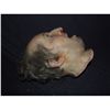 Image 4 : SPECIES 3 CHOKING SILICONE HEAD ON FIBERGLASS UNDER SKULL AS SIL TENTACLE WAS FORCED DOWN HIS THROAT