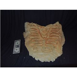 ZOMBIE MUMMY SKELETON CHEST LATEX APPLIANCE