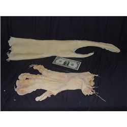 LOT OF 2 ODD ALIEN CREATURE MONSTER COSTUME GLOVES NO RESERVE!