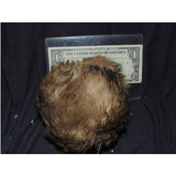 CRITTERS 2 SCREEN USED BLOODY BABY HERO SOFT CRITE BALL 2