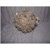 CRITTERS 2 SCREEN USED HERO ADULT HARD FLYING CRITE BALL