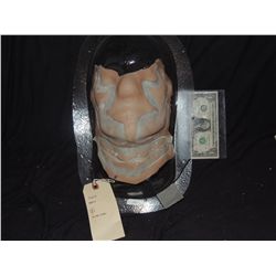 PIRATES OF THE CARIBBEAN ON STRANGER TIDES UNUSED ZOMBIE APPLIANCE 5 NO RESERVE HIGH BID GETS IT!