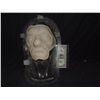 Image 1 : PIRATES OF THE CARIBBEAN ON STRANGER TIDES UNUSED FULL FACE ZOMBIE APPLIANCE 1