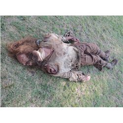 PIRATES OF THE CARIBBEAN DEAD MAN'S CHEST SCREEN USED HERO PIRATE CORPSE CROW PLUCKS EYEBALL FROM