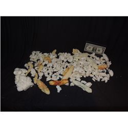 PIRATES OF THE CARIBBEAN DEAD MAN'S CHEST AT WORLD'S END BOOTSTRAP BILL TURNER UNUSED STUNT MAKE UP