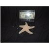 PIRATES OF THE CARIBBEAN DEAD MAN'S CHEST AT WORLD'S END BOOTSTRAP BILL TURNER UNUSED HERO STARFISH