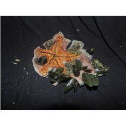 PIRATES OF THE CARIBBEAN DEAD MAN'S CHEST AT WORLD'S END SCREEN USED BOOTSTRAP BILL HERO STARFISH