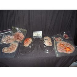 PIRATES OF THE CARIBBEAN DEAD MAN'S CHEST AT WORLD'S END SCREEN USED BOOTSTRAP BILL TURNER MAKE UP