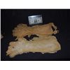 Image 1 : ROTTEN ZOMBIE OR DEMON GLOVE HANDS NO RESERVE!