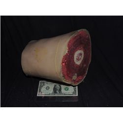 DEXTER SCREEN USED VICTIM SEVERED BODY PART 8 SEEN IN ICE BLOCK DURING SEASON 2