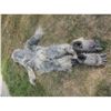 Image 2 : BIG FOOT YETI ABOMINABLE SNOWMAN SASQUACH CREATURE COMPLETE COSTUME