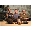 Image 2 : CRITTERS 2 SCREEN USED BLOODY BABY HERO SOFT CRITE BALL 2