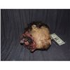 Image 2 : PIRATES OF THE CARIBBEAN ON STRANGER TIDES SCREEN USED SEVERED HEAD SEEN ON WOODEN SPIKE 4