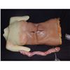 Image 1 : OFF THE MAP SURGERY SILICONE ON FOAM BODY TORSO WITH FULL ENTRAILS INSIDE SCREEN USED!
