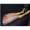 Image 1 : TORN IN HALF FEMALE LOWER BODY WITH LEGS & EXCELLENT GORE WITH SPINE SILICONE ANATOMICALLY CORRECT