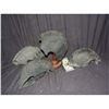 Image 1 : LOT OF 4 LATEX WIGS NO RESERVE!