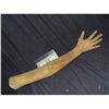Image 1 : SEVERED ARM RAW FOAM ARM