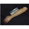 Image 1 : PROSTHETIC ARM CAST IN URETHANE