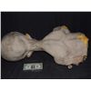Image 2 : BABYLON 5 ALIEN CONCEPT BUST