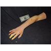 Image 1 : SEVERED TORN OFF ARM WITH GORE AT STUMP 4