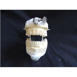 INTERVIEW WITH THE VAMPIRE LESTAT TOM CRUISE SCREEN USED HERO FANGS TEETH ON LIFE CAST