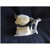 Image 2 : INTERVIEW WITH THE VAMPIRE LESTAT TOM CRUISE SCREEN USED HERO FANGS TEETH ON LIFE CAST