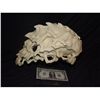 Image 2 : ALIEN CREATURE DEMON MONSTER SKULL FROM UNKNOWN PRODUCTION
