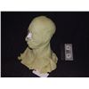 Image 2 : SUCKER PUNCH FULL HEAD ORK COWL APPLIANCE 5