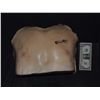 Image 1 : SILICONE CHEST ON FOAM CORE
