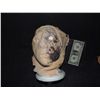 Image 1 : SPLINTER ALIEN CREATURE MONSTER INFESTED FACE APPLIANCE 1